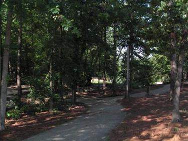 Access to Harbison Lake and Walking Trails from Parking Lot